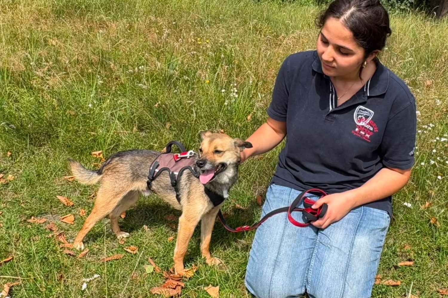 Ein kleiner Mischlingshund steht mit Leine und Geschirr neben einer jungen Frau, die neben ihm auf der Wiese kniet und ihm liebevoll die Hand auf den Rücken legt.